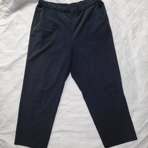 Studio Works Woman Slate/Navy Blue Dress Pants